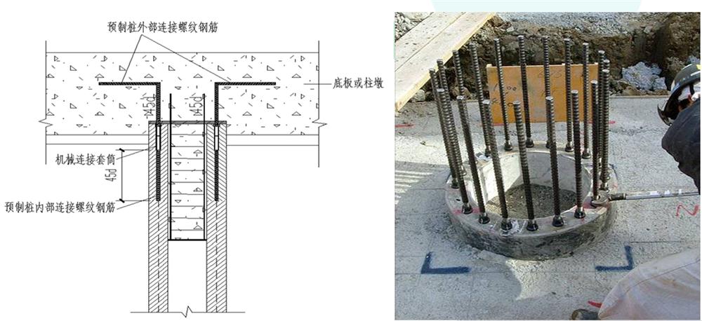 先張法預應力混凝土抗拔管樁（抱箍式連接）(圖5)